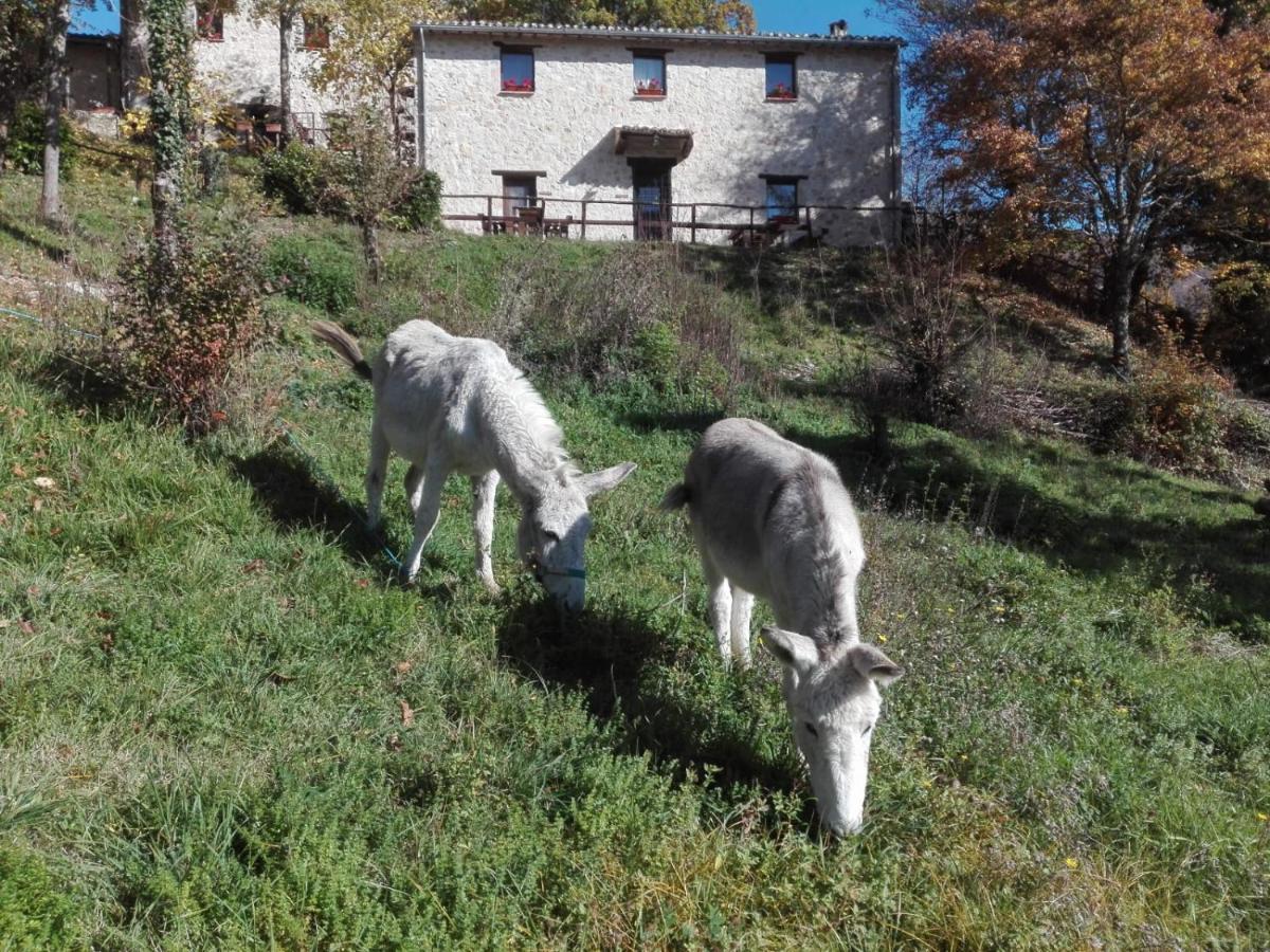 I Casali Del Buontempo Villa Buggiano Buitenkant foto